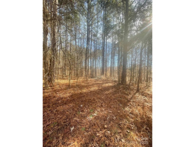 Lake Lot For Sale in Mooresville, North Carolina