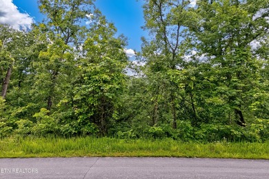 Discover the ultimate East Tennessee lifestyle on this spacious - photo 2
