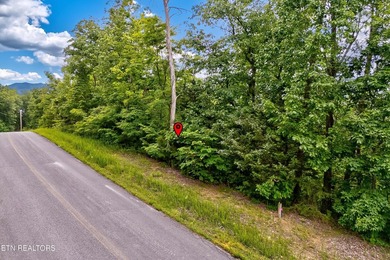 Discover the ultimate East Tennessee lifestyle on this spacious - photo 4