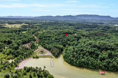 Discover the ultimate East Tennessee lifestyle on this spacious - photo 8