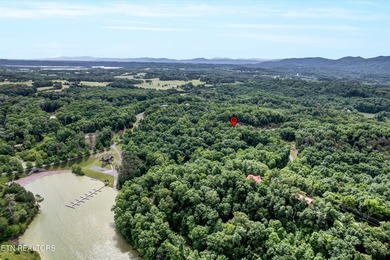 Discover the ultimate East Tennessee lifestyle on this spacious - photo 9