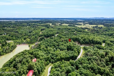 Discover the ultimate East Tennessee lifestyle on this spacious - photo 10
