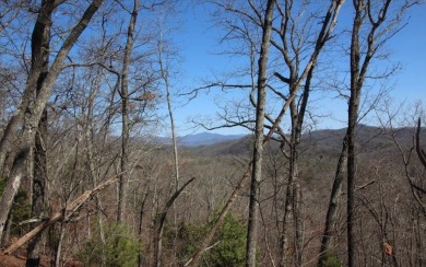Hiwassee River - Clay County Acreage For Sale in Hayesville North Carolina