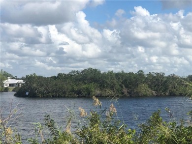 Lake Lot For Sale in Alva, Florida