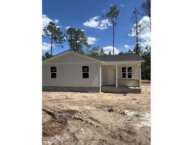 (private lake, pond, coastal) Home For Sale in Boiling Spring Lakes North Carolina