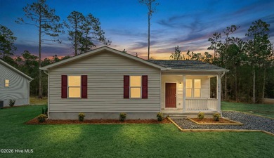 Welcome to your dream home in the heart of Boiling Spring Lakes - photo 5