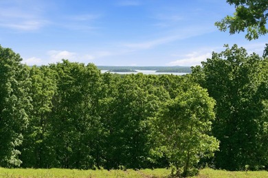 The only true lake view tract currently on the market at - photo 3