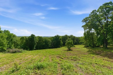 The only true lake view tract currently on the market at - photo 5