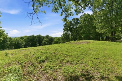The only true lake view tract currently on the market at - photo 7