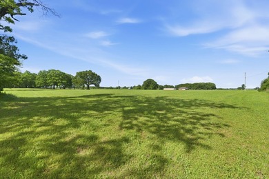The only true lake view tract currently on the market at - photo 8