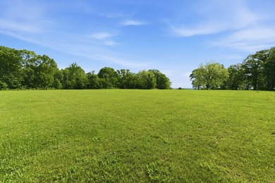 The only true lake view tract currently on the market at - photo 9