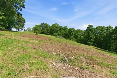 The only true lake view tract currently on the market at - photo 10