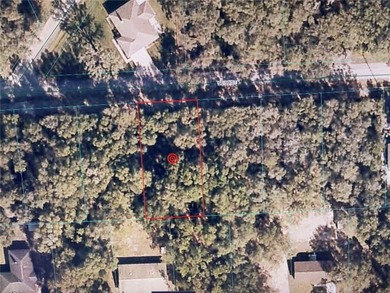 Halford Lake Lot For Sale in Ocklawaha Florida