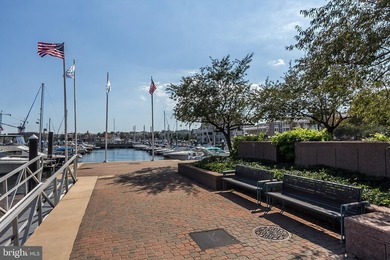 Welcome to Pierside at HarborView! The HarborView Marina & Yacht - photo 42