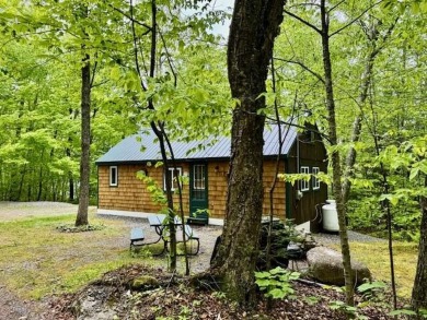 Lake Home For Sale in Embden, Maine