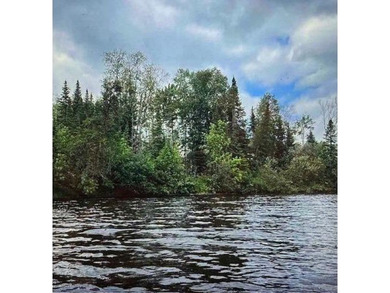 Embarrass Lake Lot For Sale in Biwabik Minnesota