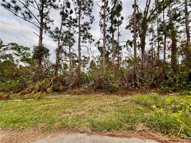 Port Charlotte Waterway Lakes Area Lot Sale Pending in Port Charlotte Florida