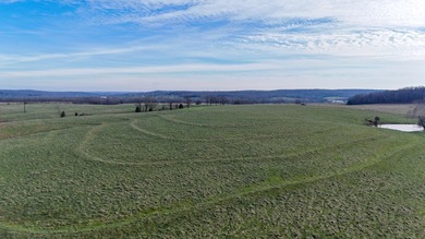 (private lake, pond, coastal) Acreage For Sale in Niangua Missouri