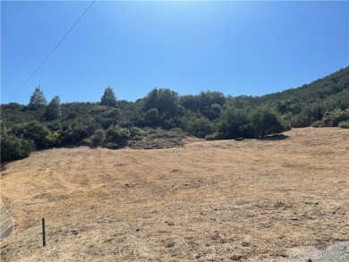 Lake Lot For Sale in Lake Hughes, California