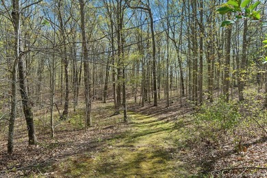 Nestled amidst nearly 500 acres of protected preserve land, this - photo 40