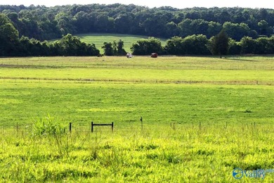 This gated compound is EVERYTHING! Just under 200 acres of the - photo 4