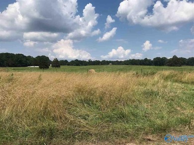 This gated compound is EVERYTHING! Just under 200 acres of the - photo 5