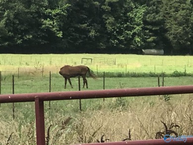 This gated compound is EVERYTHING! Just under 200 acres of the - photo 6