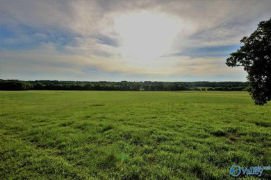 This gated compound is EVERYTHING! Just under 200 acres of the - photo 9