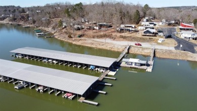 Lewis Smith Lake Commercial For Sale in Cullman Alabama