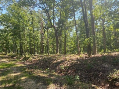 Beaver Lake Acreage For Sale in Rogers Arkansas