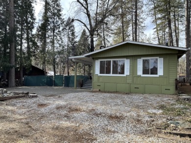 Lake Shasta Home For Sale in Lakehead California