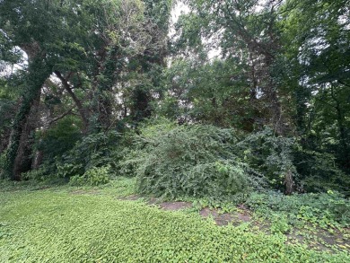 Lake Lot For Sale in Sheffield, Alabama
