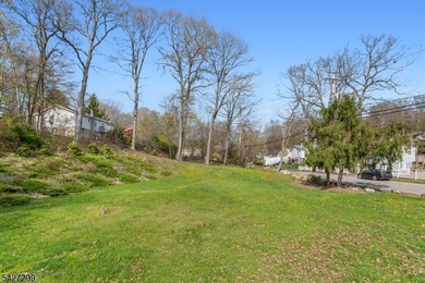 Ready-to-build half-acre lot with a brand-new, unused 3-bedroom - photo 8