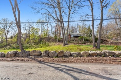 Ready-to-build half-acre lot with a brand-new, unused 3-bedroom - photo 9