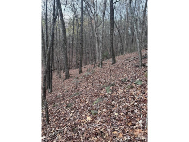 Welcome to Wilkerson Court Lot #16. Located in sought after - photo 2