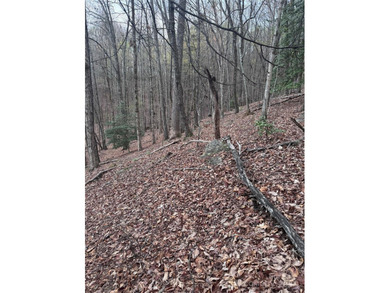 Welcome to Wilkerson Court Lot #16. Located in sought after - photo 3