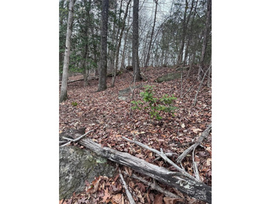 Welcome to Wilkerson Court Lot #16. Located in sought after - photo 4
