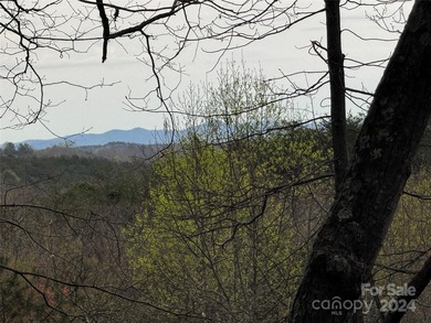 Welcome to Wilkerson Court Lot #16. Located in sought after - photo 5