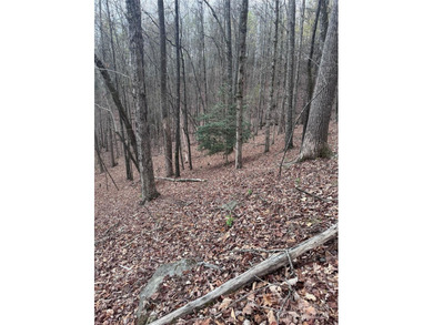 Welcome to Wilkerson Court Lot #16. Located in sought after - photo 6