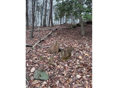 Welcome to Wilkerson Court Lot #16. Located in sought after - photo 7