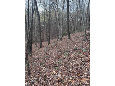 Welcome to Wilkerson Court Lot #16. Located in sought after - photo 8