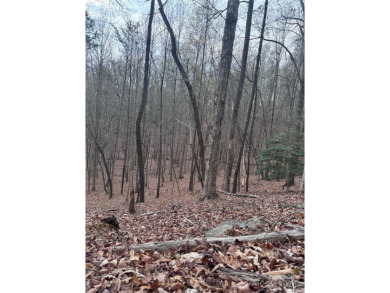 Welcome to Wilkerson Court Lot #16. Located in sought after - photo 9