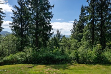 One of a kind, custom craftsman home! Private and secluded - photo 45