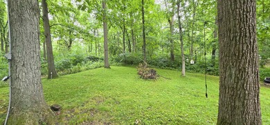 Park your RV or Park Model on your private .35 acre, partially - photo 8