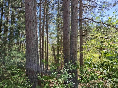 Wooded buildable lot with the access to Yellow River. Just over - photo 1