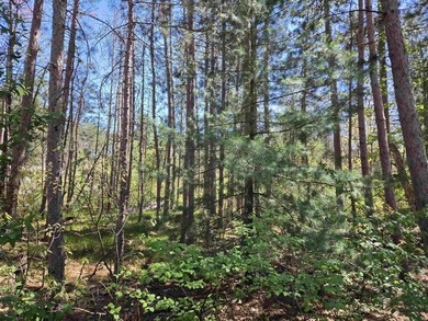 Wooded buildable lot with the access to Yellow River. Just over - photo 2