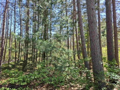 Wooded buildable lot with the access to Yellow River. Just over - photo 3