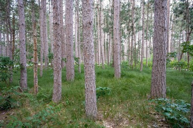 Wooded buildable lot with the access to Yellow River. Just over - photo 4