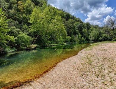 Incredible investment opportunity on the Kings River! This - photo 7