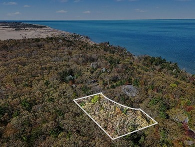 Lake Acreage For Sale in Mears, Michigan